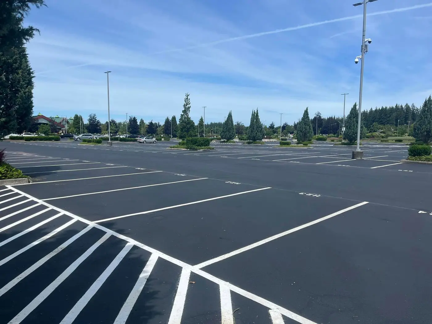 Fresh white parking lot striping